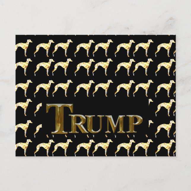 TRUMP 2024 VYKORT (Framsida)