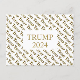 TRUMP 2024 VYKORT