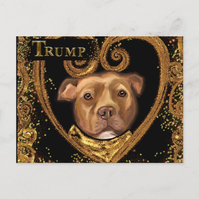 TRUMP 2024 VYKORT (Framsida)