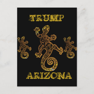TRUMP 2024 VYKORT