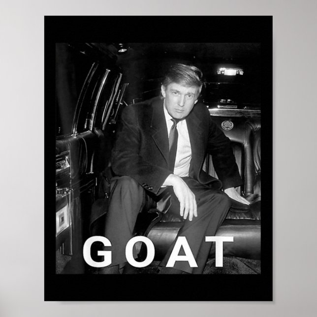 Trump 2024 Young Trump Poster (Framsidan)