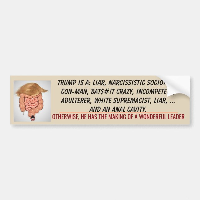 Trump Anal Cavity TUCK FRUMP 2020 Biden Bildekal (Framsidan)