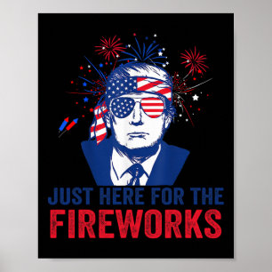 Trump är bara här för fyrverkerierna Roligt fjärde Poster