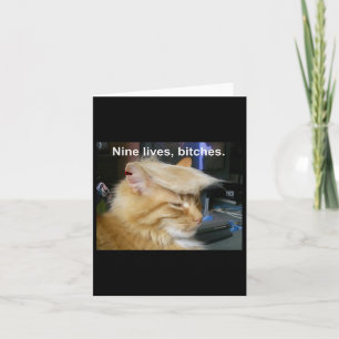 Trump Cat Nine Lives Funny Trump 2024 Omröstningsv Kort