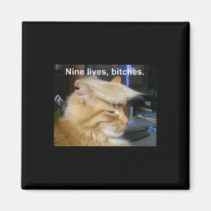 Trump Cat Nine Lives Funny Trump 2024 Omröstningsv Magnet