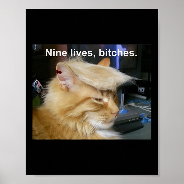 Trump Cat Nine Lives Funny Trump 2024 Omröstningsv Poster (Framsidan)