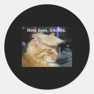 Trump Cat Nine Lives Funny Trump 2024 Omröstningsv Runt Klistermärke