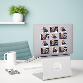 Trump did it 12 sticker sheet klistermärken