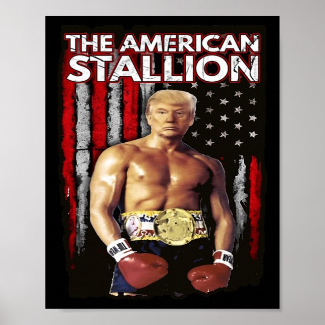 Trump-disktrump för Boxer Trump 2024 Poster (Framsidan)