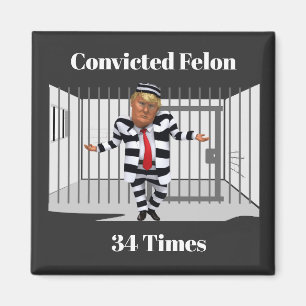 Trump Dömd Felon Magnet