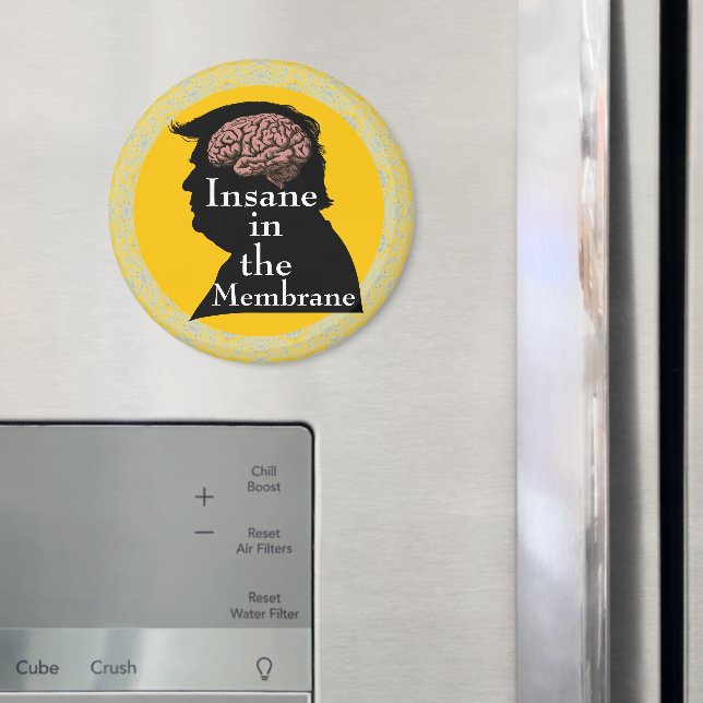 Trump/fel magnet (In Situ (Fridge))