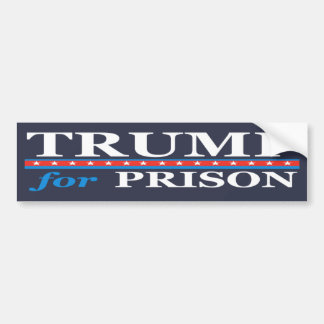TRUMP FÖR PRISON BILDEKAL