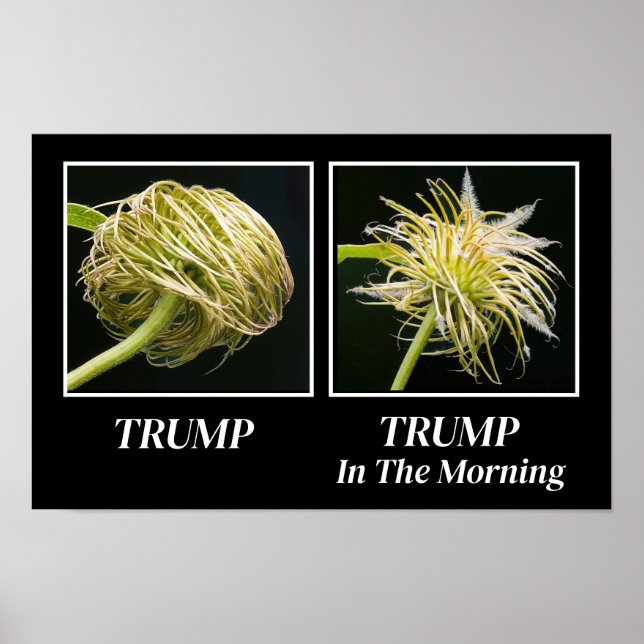 Trump Hair Poster (Framsidan)