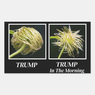 Trump Hair Rektangulärt Klistermärke
