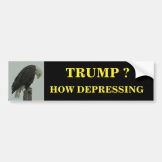 TRUMP? HUR DEPRESSANDE BILDEKAL