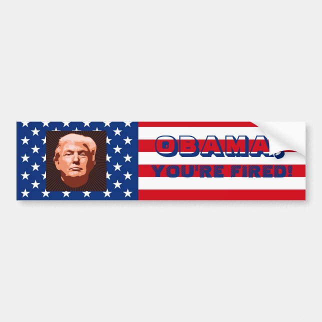 Trump-installation 2017 bildekal (Framsidan)