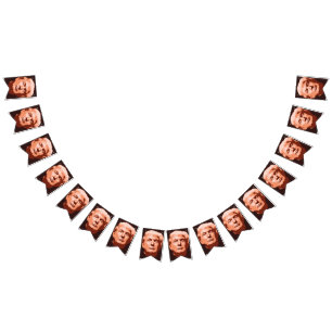 Trump-installation 2017 vimplar