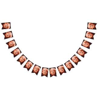 Trump-installation 2017 vimplar