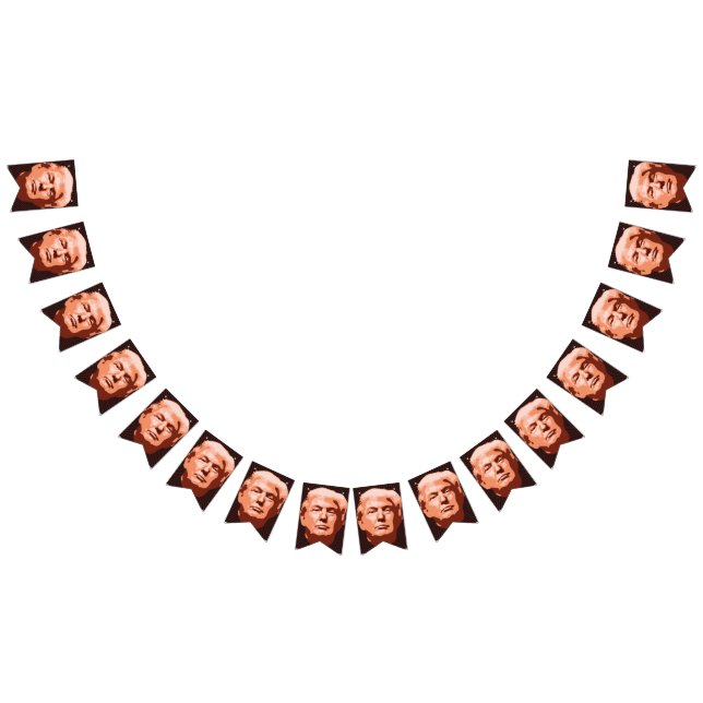 Trump-installation 2017 vimplar (Alla)