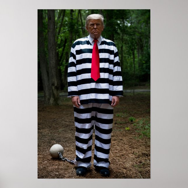 Trump Jail Poster (Framsidan)