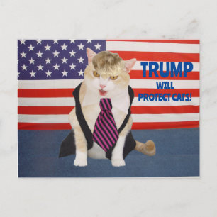Trump Kitty Postkort Vykort