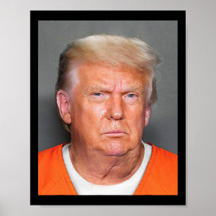 Trump Mugg Shot 1 Poster