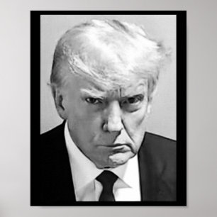 Trump Mugg Shot - Donald Trump Mugg Shot Poster