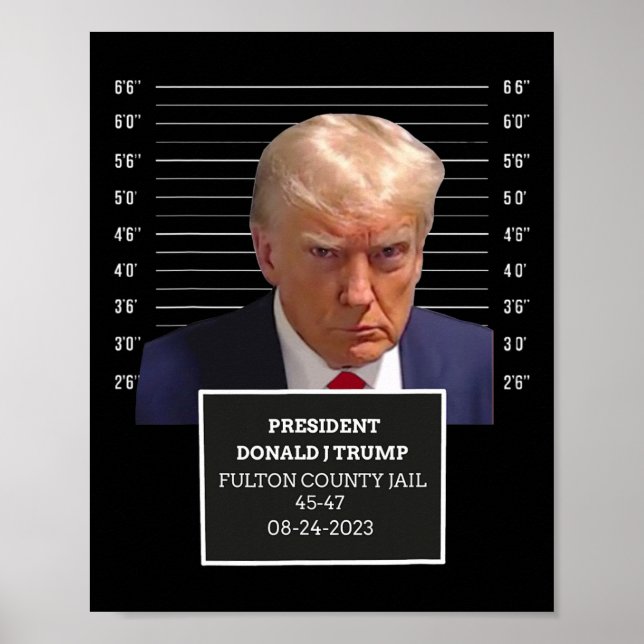 Trump Mugg Shot President Donald J Trump Mugshot 2 Poster (Framsidan)