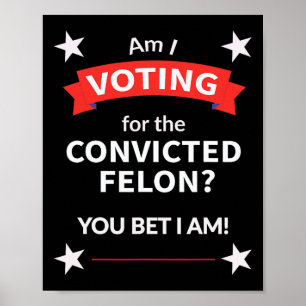 Trump Politiskt presidentval Voting Felon Poster