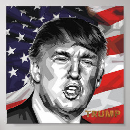 Trump-Poster Poster
