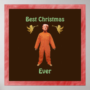 Trump Prisoner Poster