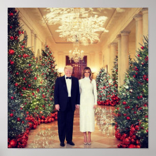 Trump USA President Vita huset jul Poster