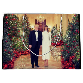 Trump: USA:s president Vita Huset Jul