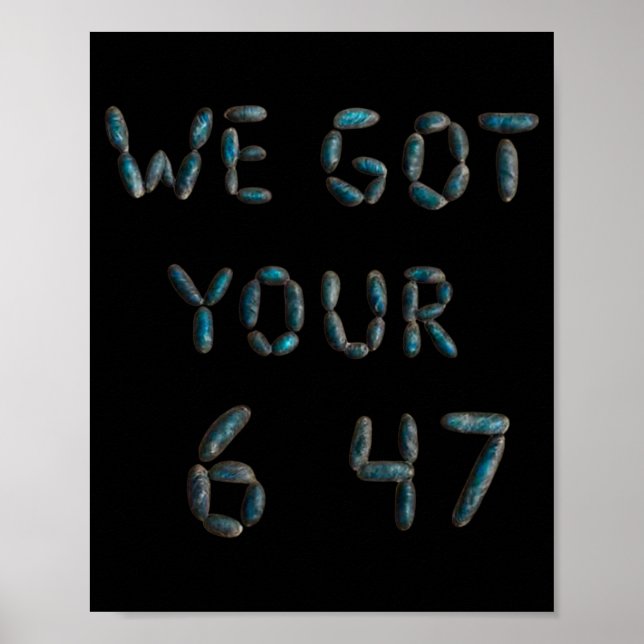 Trump Vi har din 6 4 7 Pro Trump Poster (Framsidan)