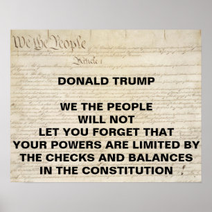 Trump Vi the People Checkand Balances Protest Poster
