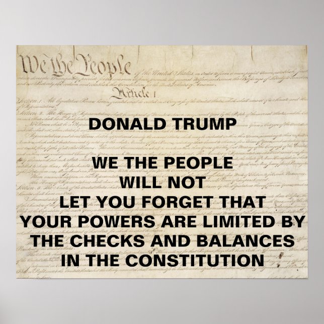 Trump Vi the People Checkand Balances Protest Poster (Framsidan)