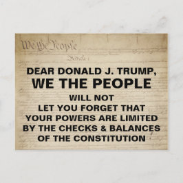 Trump Vi the People Checks and Balances Resistance Vykort