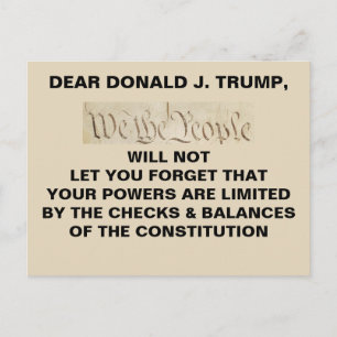 Trump Vi the People Checks and Balances Resistance Vykort