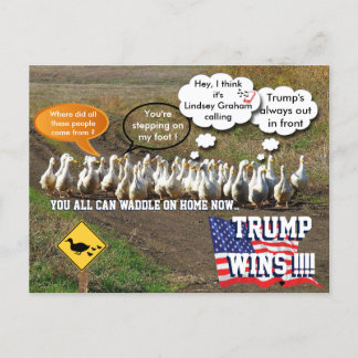 Trump wins vykort