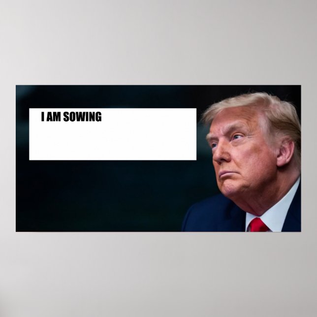 Trumpaffisch Poster (Framsidan)