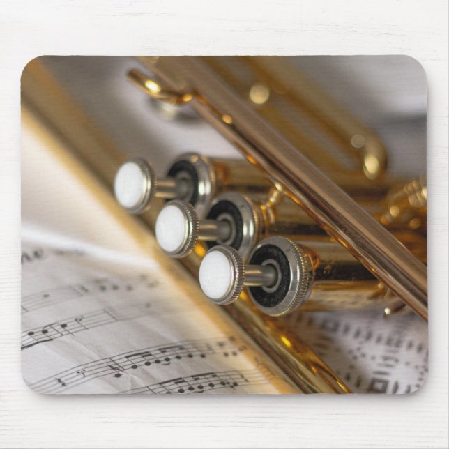 Trumpet and Lakan Music Brass Instrument Musmatta (Framsidan)