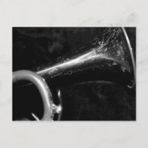 Trumpet Bell svart och vitt