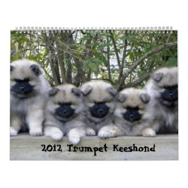 Trumpet Keeshond Calendar 2012 Kalender