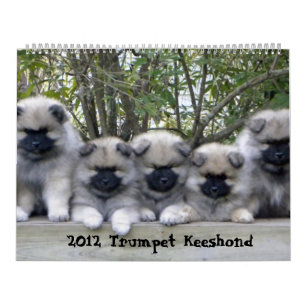 Trumpet Keeshond Calendar 2012 Kalender