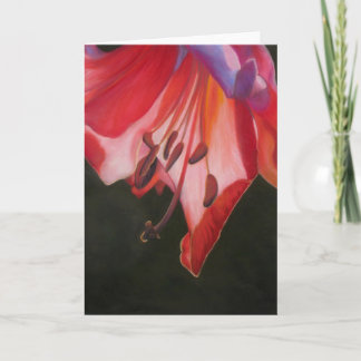 Trumpet Lily Kort