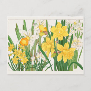 Trumpet narcissus av Tanigami Konan Vykort