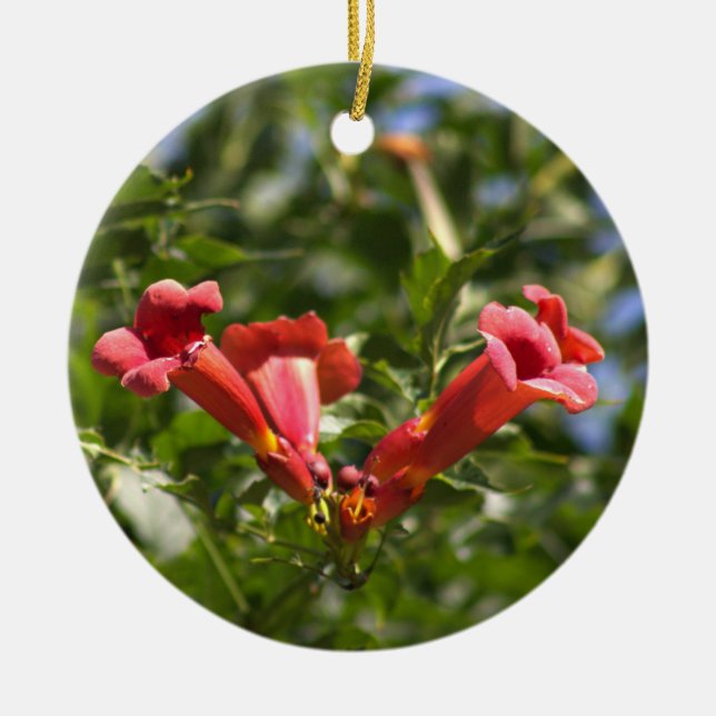 Trumpet Vine Flowers Ornament (Framsidan)