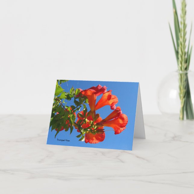 Trumpet vine & Honeysuckle Card Kort (Framsida)