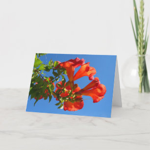 Trumpet vine & Honeysuckle Card Kort