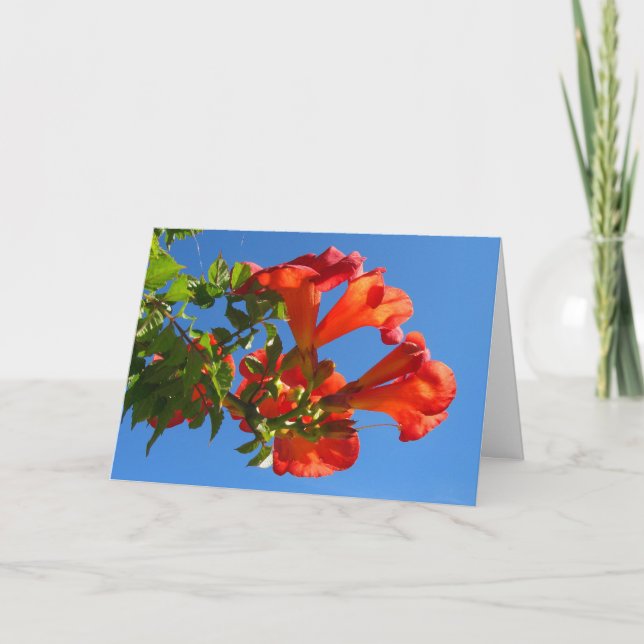Trumpet vine & Honeysuckle Card Kort (Framsida)